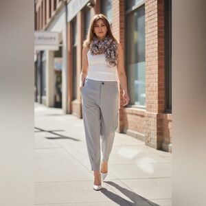 Zara Soft Gray Pants
